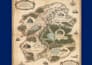 create stunning fantasy maps for your story world